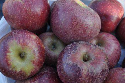 Winesap Apple