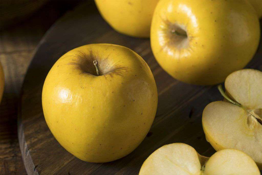 Opal Apple