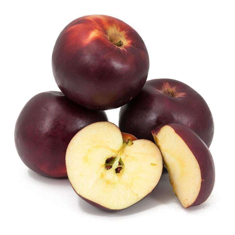 Arkansas Black Apple