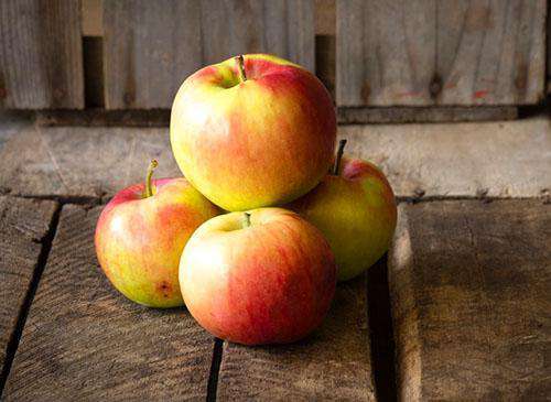Melba Apple